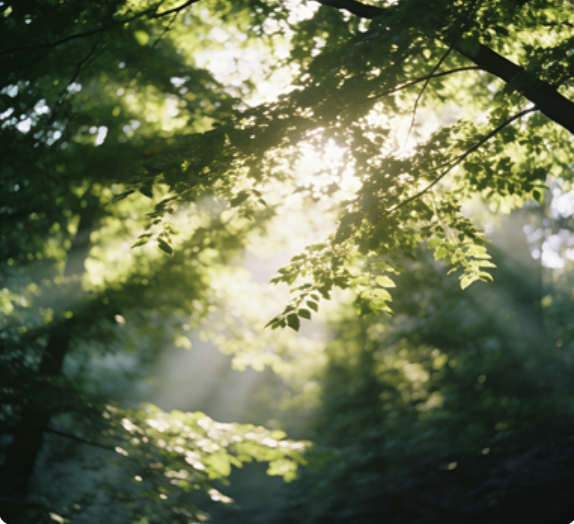 日常生活中的基础心理学实用技巧
